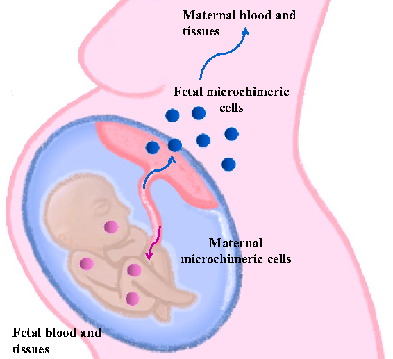 Dad, Is My Body 100% My Own?