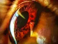 We Learn It Too Late